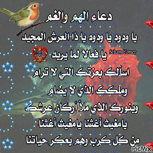 صورة