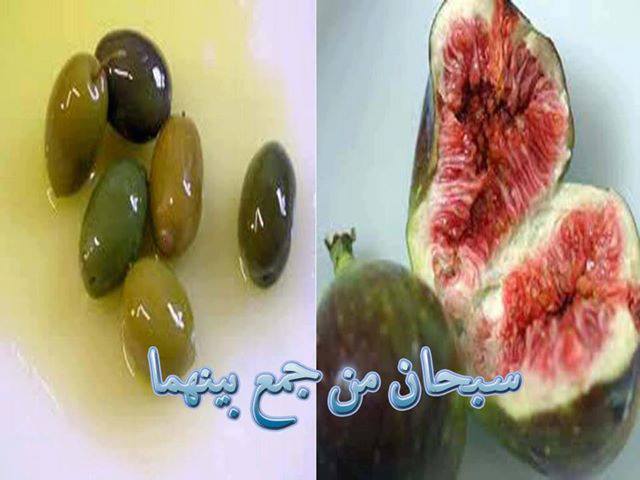 اضغط هنا لتكبير الصوره
