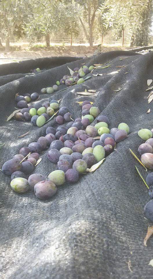 ���� ���� ������ �� ���� ������