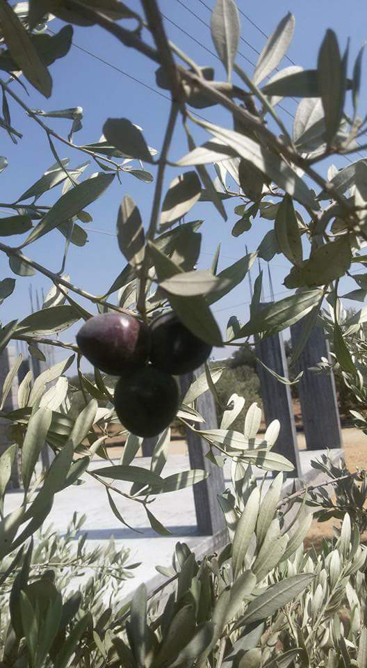 ���� ���� ������ �� ���� ������