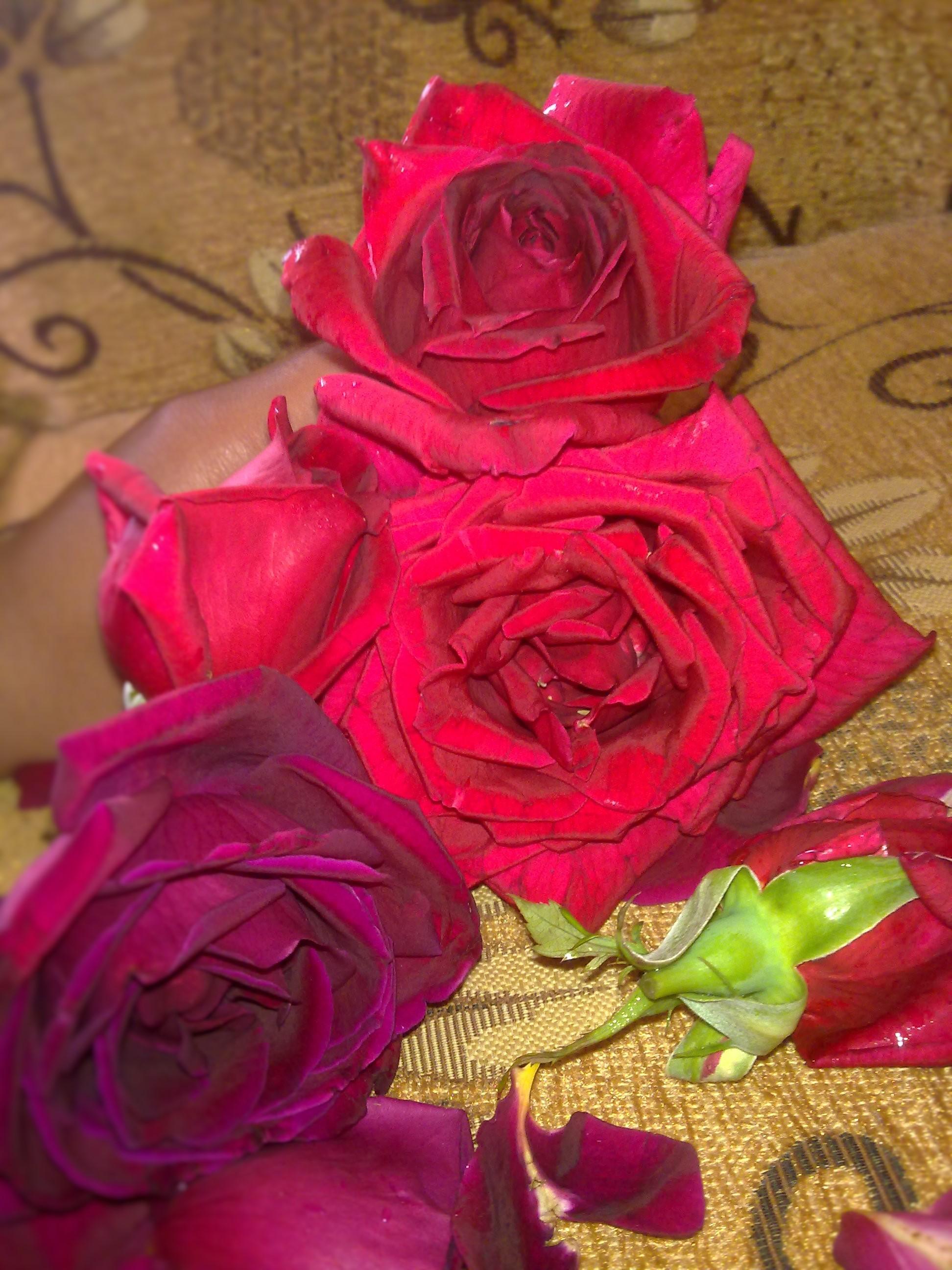 ���� ���� ������ �� ���� ������