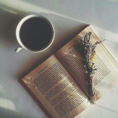 ���� ���� ������ �� ���� ������