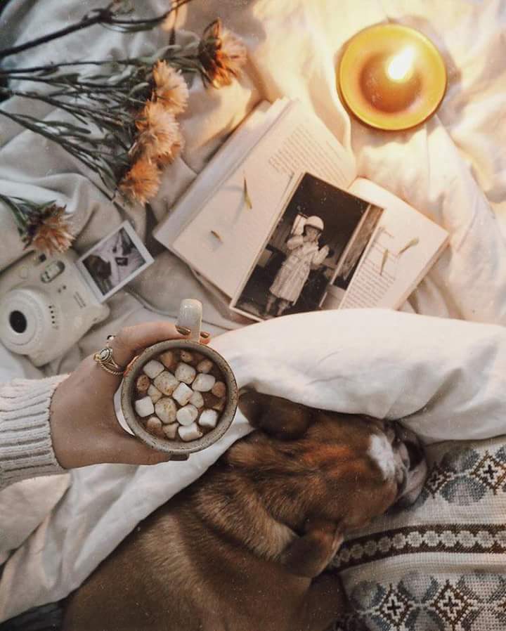 ���� ���� ������ �� ���� ������