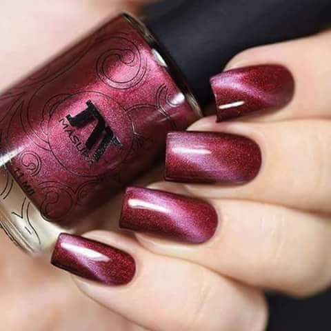 ���� ���� ������ �� ���� ������