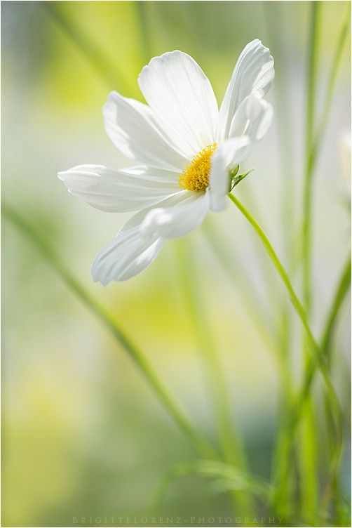 ���� ���� ������ �� ���� ������