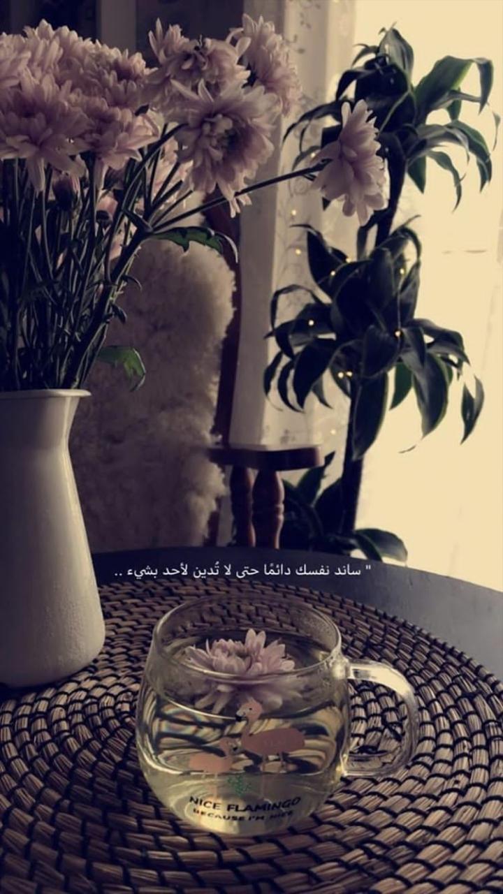 ���� ���� ������ �� ���� ������