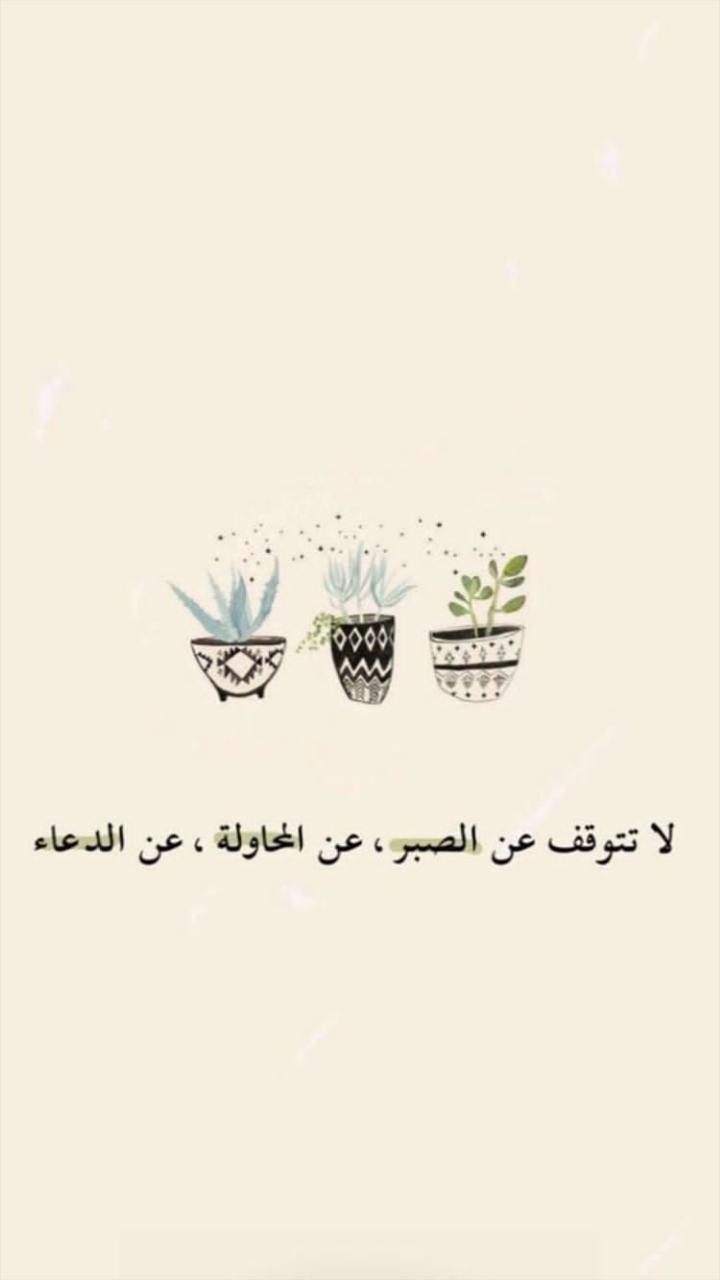 ���� ���� ������ �� ���� ������