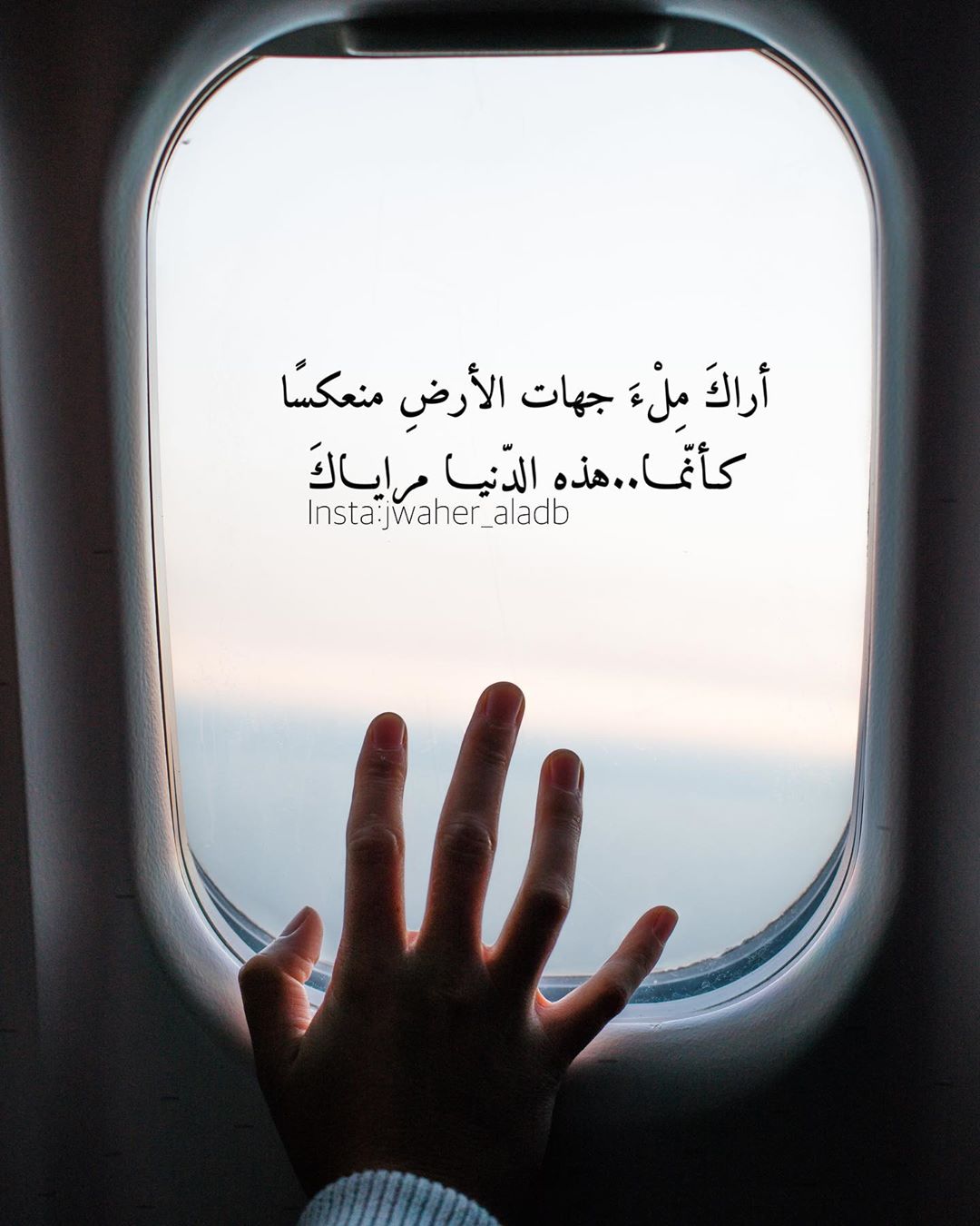 ���� ���� ������ �� ���� ������