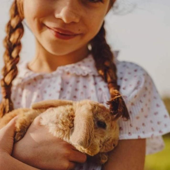 ���� ���� ������ �� ���� ������