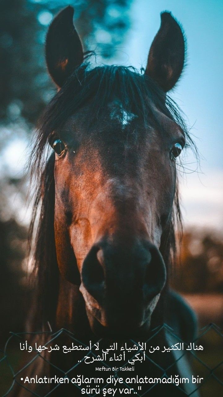 ���� ���� ������ �� ���� ������