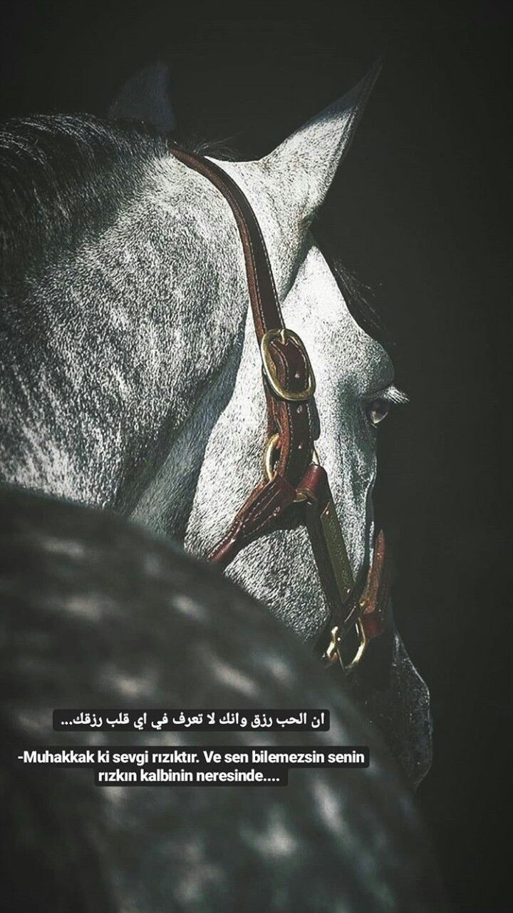 ���� ���� ������ �� ���� ������