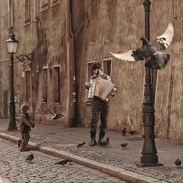 ���� ���� ������ �� ���� ������