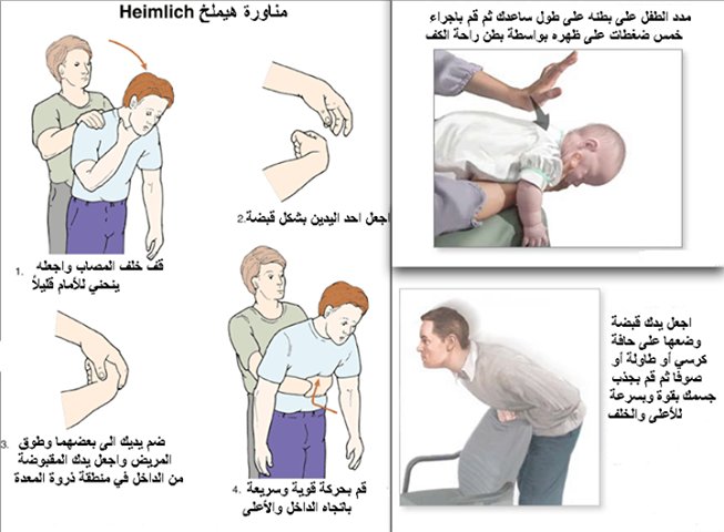 تستطيع أن ترى الصورة بحجمها الطبيعي بعد الضغط عليها