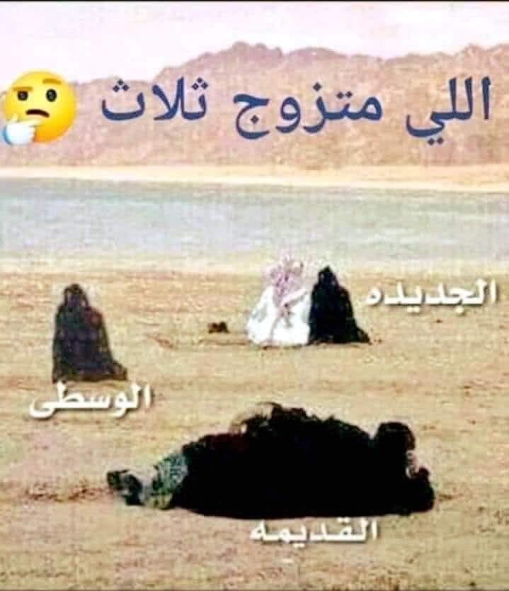 557867168.jpg