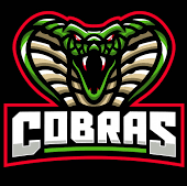  Cobra-Server   