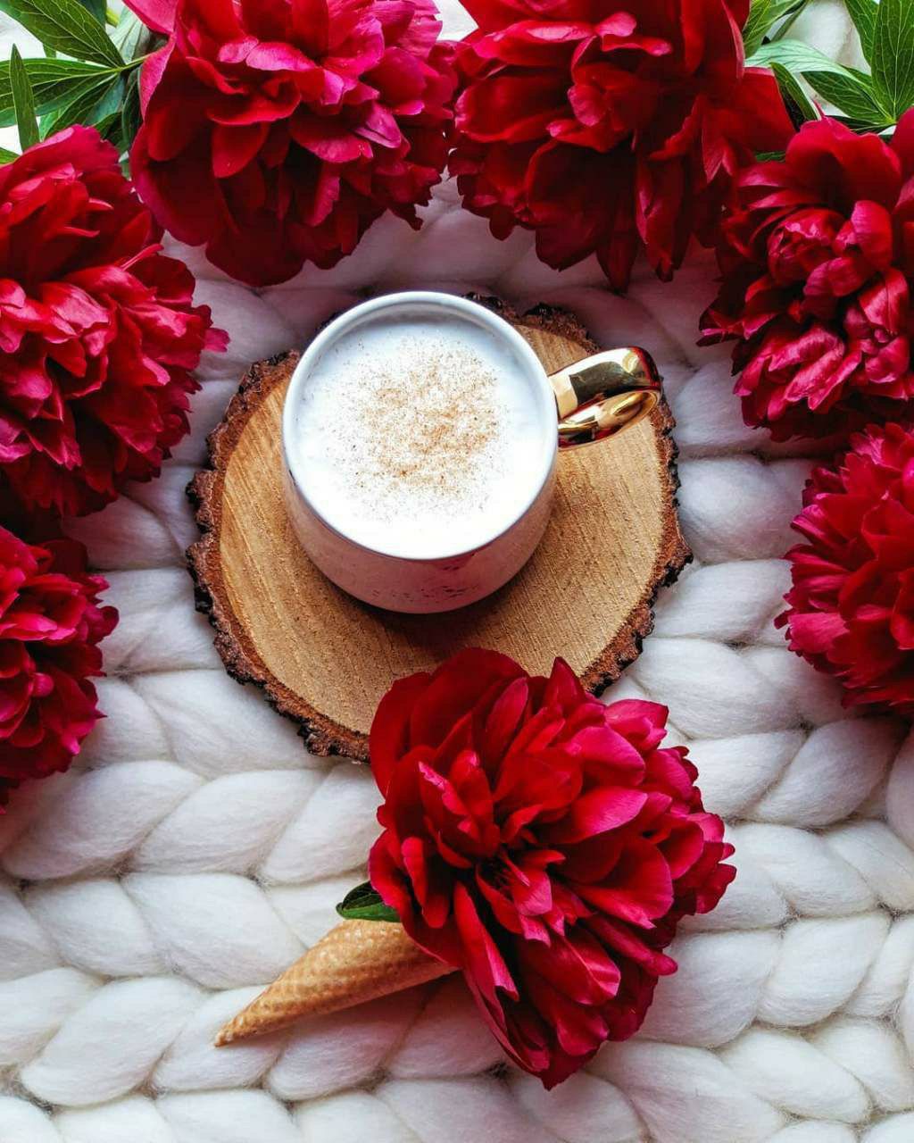 ���� ���� ������ �� ���� ������