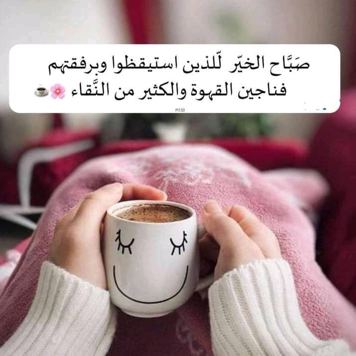 ���� ���� ������ �� ���� ������