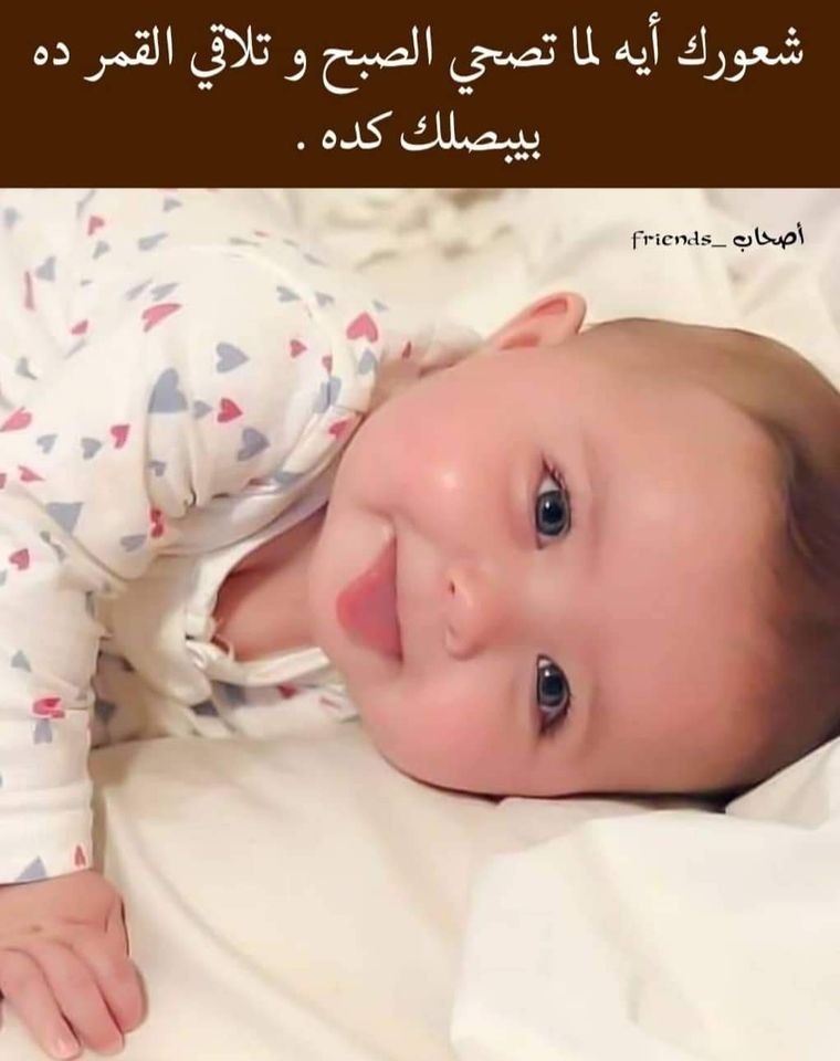 ���� ���� ������ �� ���� ������