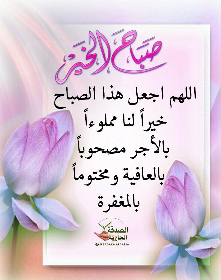 ���� ���� ������ �� ���� ������