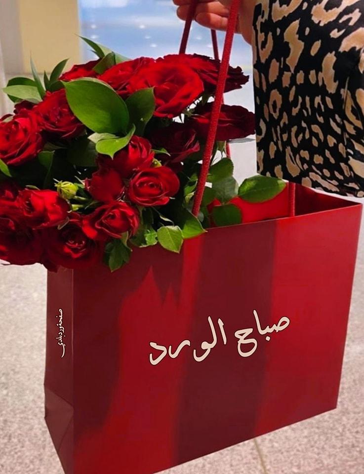 ���� ���� ������ �� ���� ������