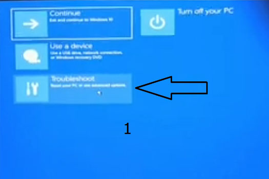 369131862.jpg